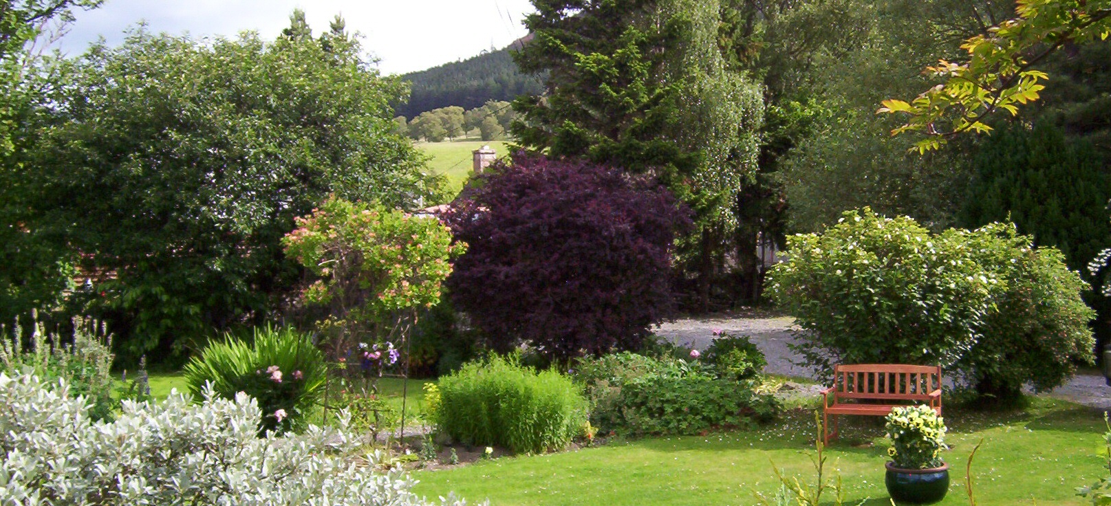 <h2>Craiglea Bed and Breakfast  - Braemar</h2><div class='slide-content'></div>